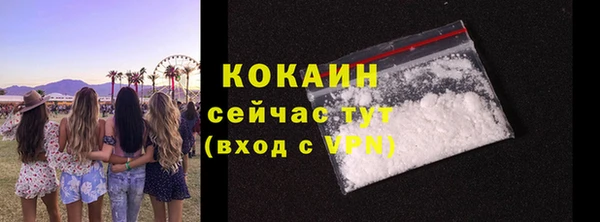 дживик Белокуриха