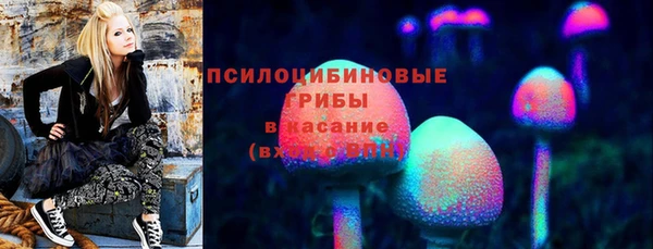 дживик Белокуриха