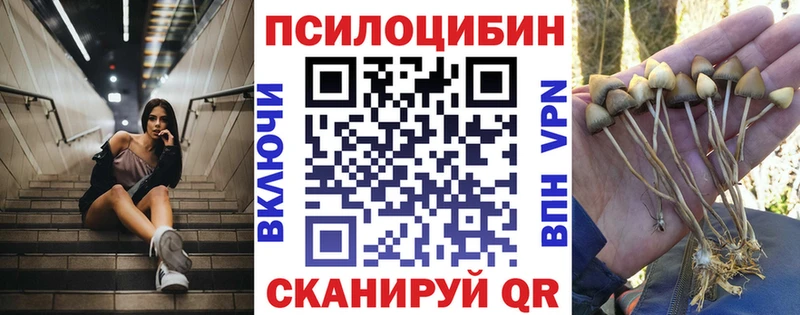 Псилоцибиновые грибы ЛСД  Большой Камень 